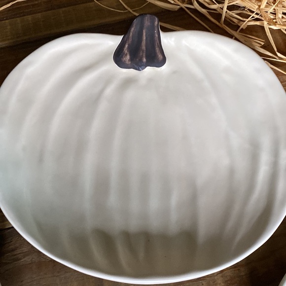 Pottery Barn Harvest Pumpkin Shaped Plates by Designer Barbara Eigern -Set of 4 - Picture 5 of 16